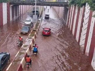 Image D'Illustration