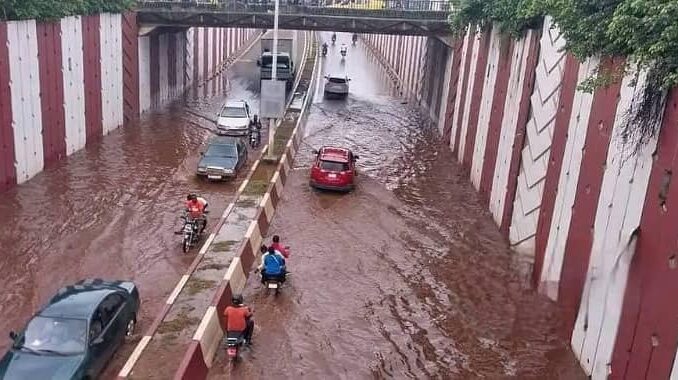 Image D'Illustration